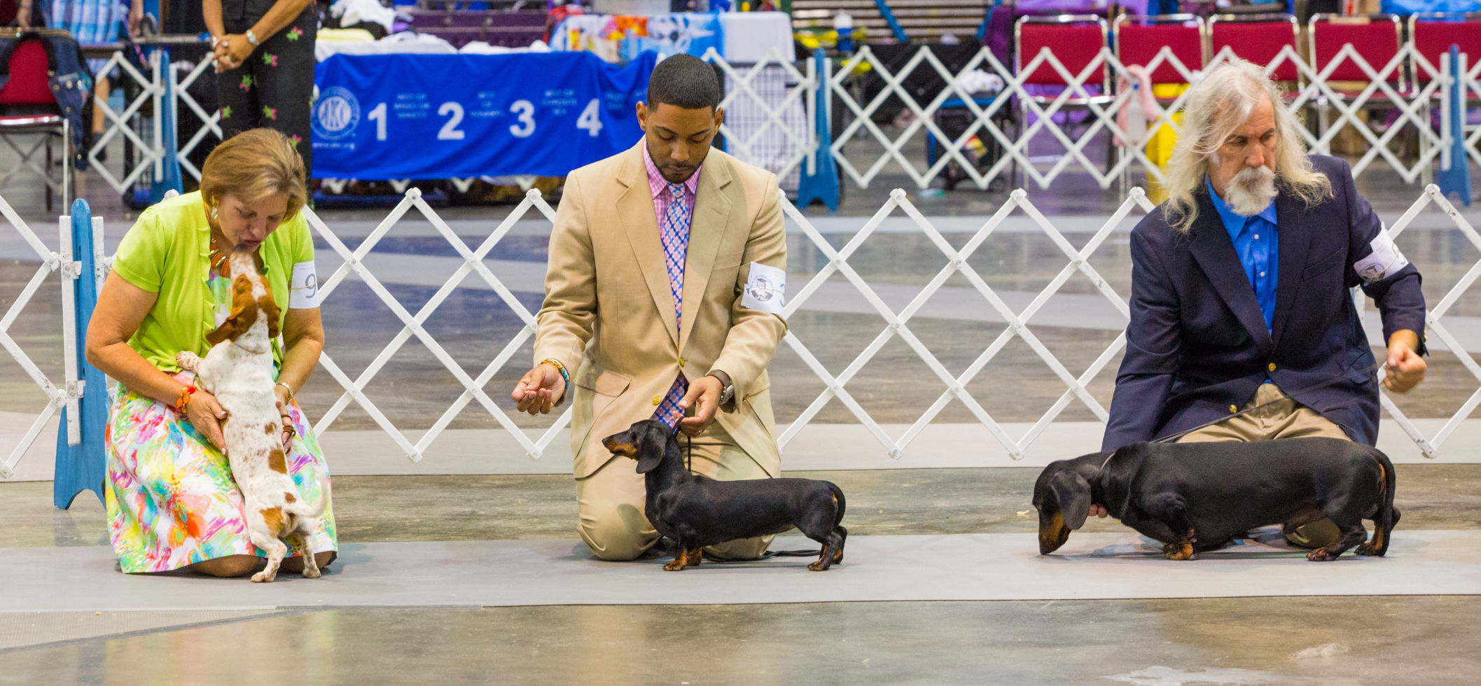 NO.dogshow.epl.0814141811 (copy)